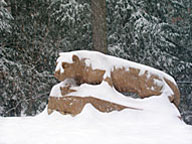 Nittany Lion Shrine in Winter