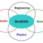 bionems_overview.png